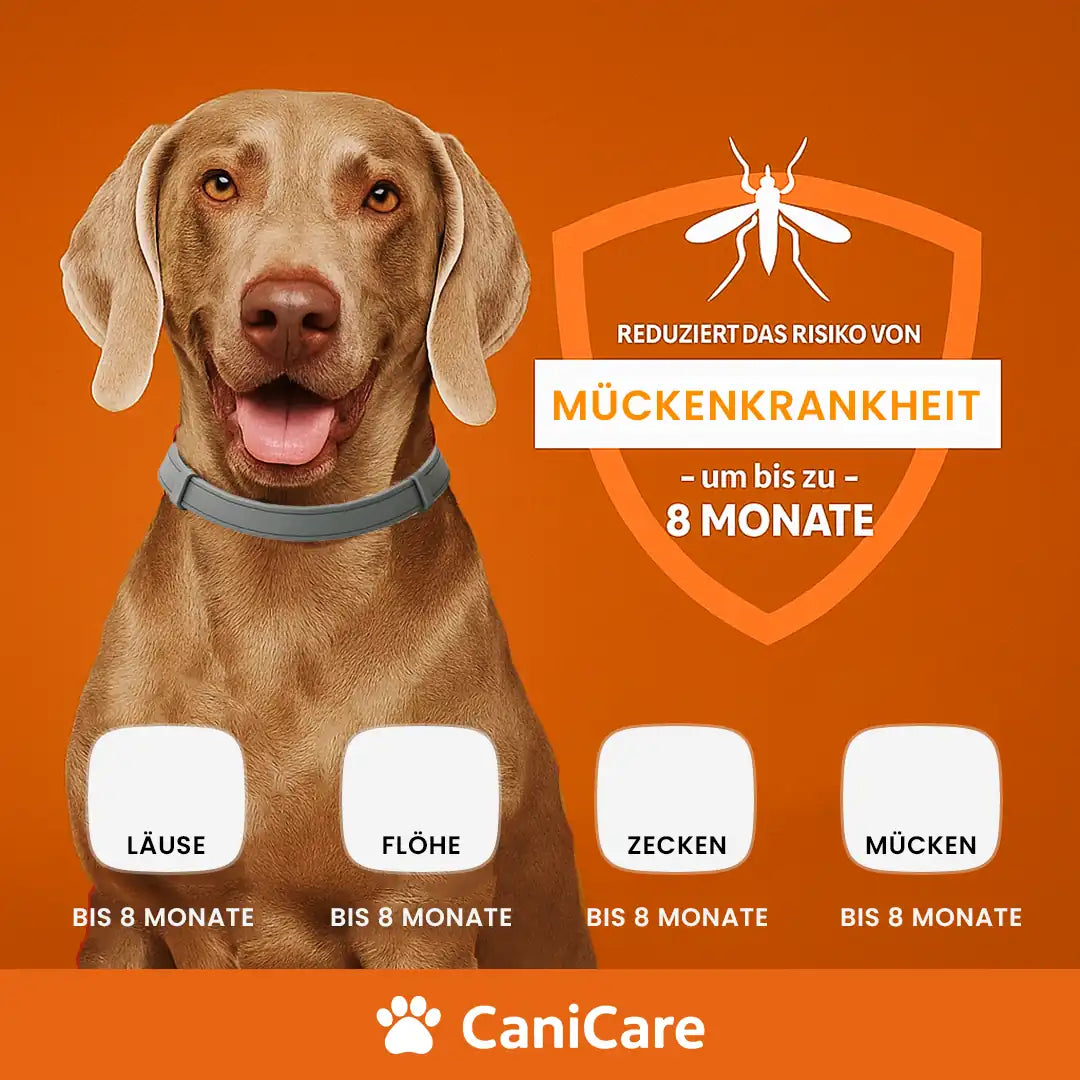 CaniCare - Natürliches Floh- und Zeckenschutz Halsband für Hunde