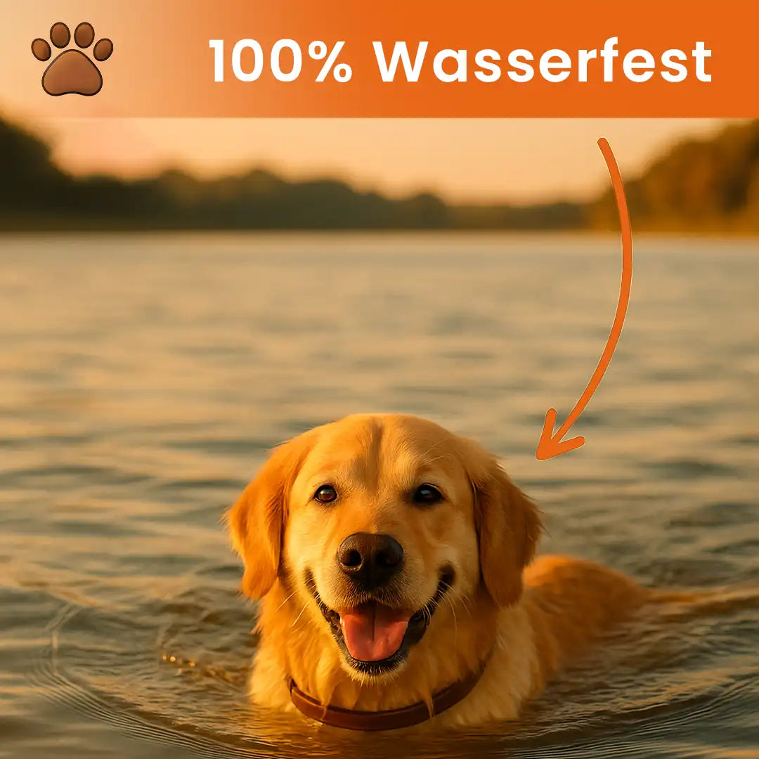 CaniCare - Natürliches Floh- und Zeckenschutz Halsband für Hunde